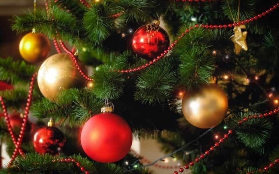 Diario del Yaqui - ¿Cuánto cuesta armar un árbol de Navidad este 2021?