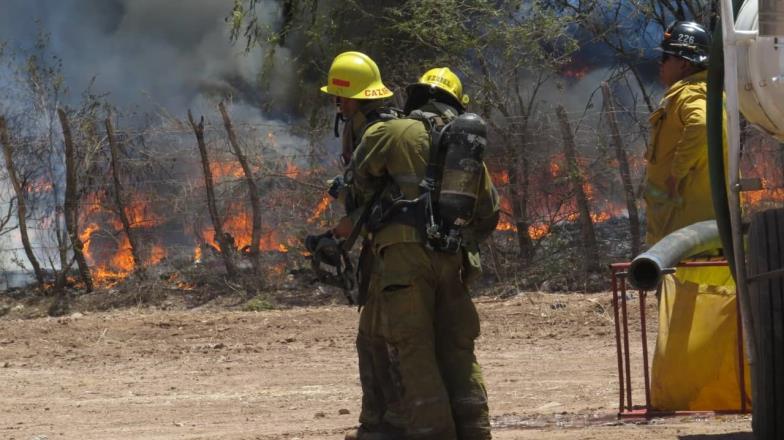 Continúan trabajos para apagar incendio en recicladora