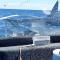 VIDEO. Tiburón salta a barco de pesca y sorprende a tripulantes