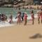 Aparecen 3 cuerpos masacrados en playa de Acapulco
